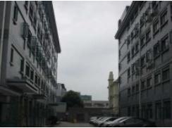 上海梅隴科技信息園助力企業(yè)跨越發(fā)展，筑夢(mèng)科技未來(lái)
